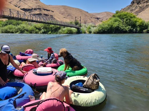 Dog Tube Float Trip